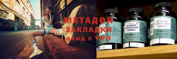 прущие грибы Верхний Тагил