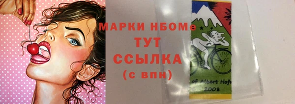 мдпв Бородино