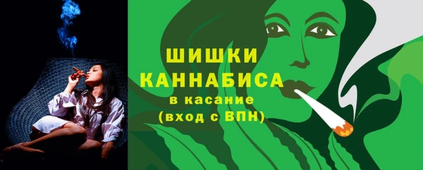 прущие грибы Верхний Тагил