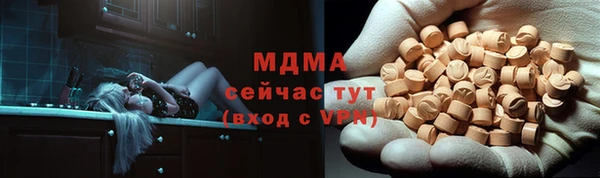 мдпв Бородино