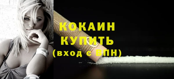 мдпв Бородино