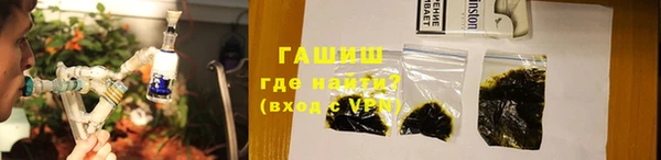 мдпв Бородино