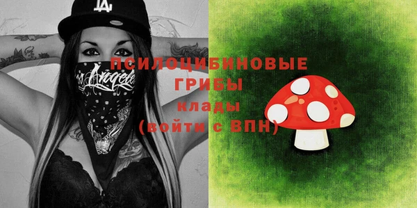 твердый Верея