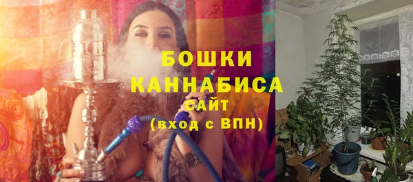 прущие грибы Верхний Тагил
