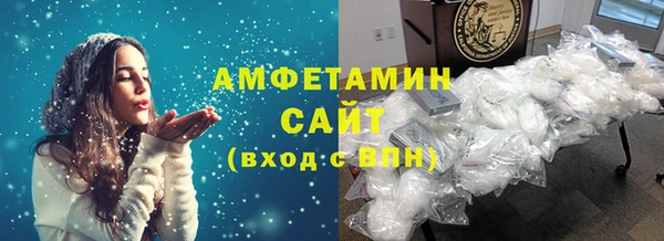 мдпв Бородино