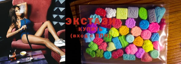 мдпв Бородино